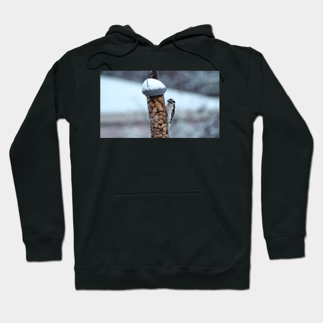 Winter Downy Woodpecker Peanut Bird Feeder Hoodie by BackyardBirder